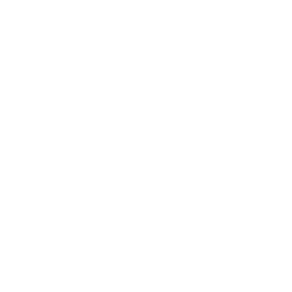 Z Share